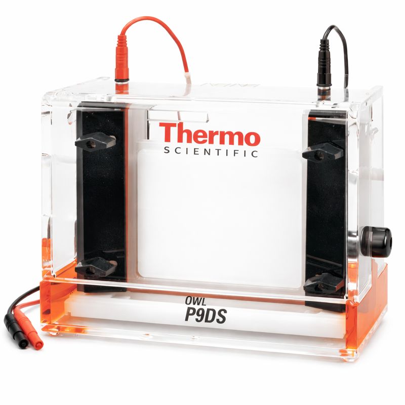 PEINE VERTICAL DE 8 DIENTES THERMO FISHER SCIENTIFIC
